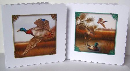 Free as a Bird by Margaret McCartney