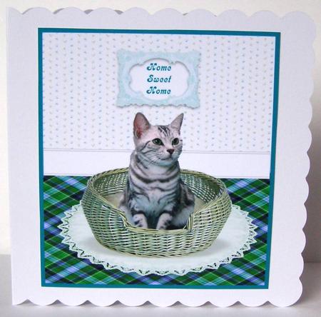Tabby Kitty Cat in a Basket Card Topper + Greetings by Margaret McCartney