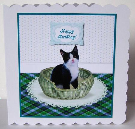 Black & White Kitty Cat in a Basket Card Topper + Greeting by Margaret McCartney