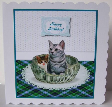 Tabby Kitten & Cat in a Basket Topper Card + Greetings by Margaret McCartney