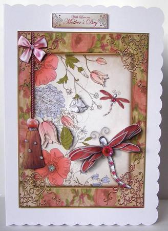 Dragonfly Delight by Margaret McCartney
