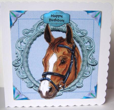 Horse in Frame by Margaret McCartney