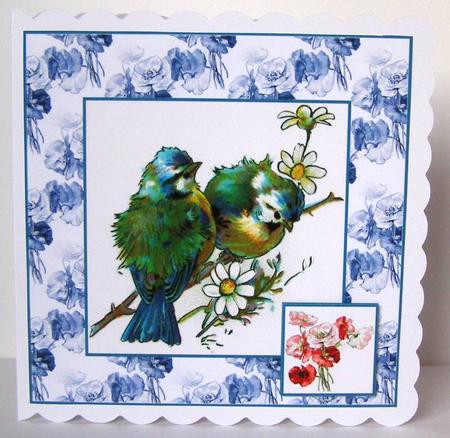 Birds and Poppies by Margaret McCartney