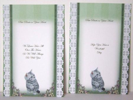 3 in 1 Fluffy Friend Inserts by Margaret McCartney
