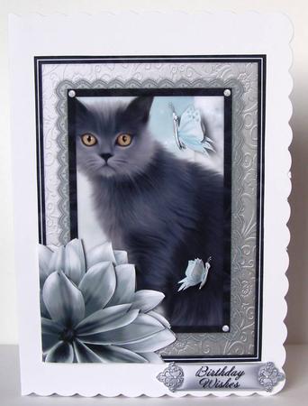 Grey Kitten Birthday Decoupage Mini Kit by Margaret McCartney