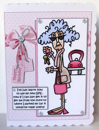 Stella and Her New Gps Quick Card by Margaret McCartney