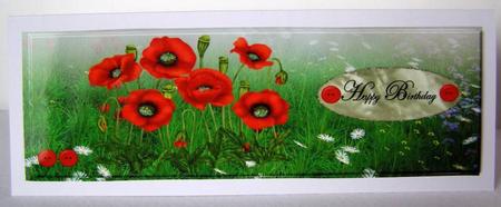 Large Dl Card Poppys by Margaret McCartney