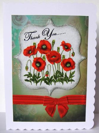 Thank You Poppys by Margaret McCartney