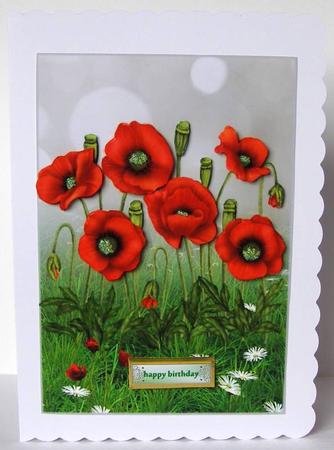 Poppies for You by Margaret McCartney