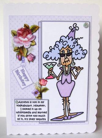 Stella and Her Vodkabulary Quick Card by Margaret McCartney