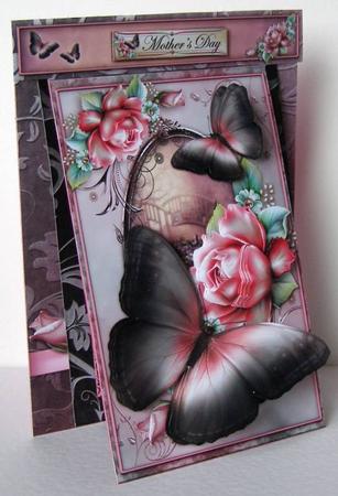 3 in 1 Butterfly Wings by Margaret McCartney