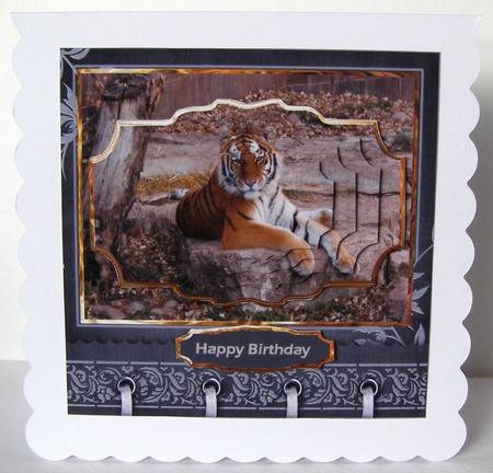 Tiger Relaxing Card with Shaped Layers by Margaret McCartney