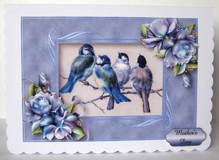 Beautiful Blue Tits & Porcelain Roses by Margaret McCartney