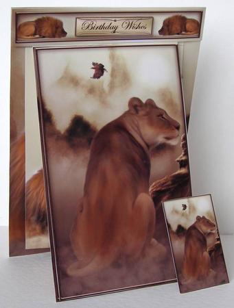 3 in 1 the Pride by Margaret McCartney