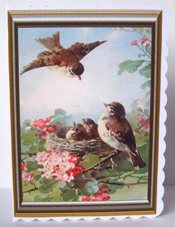 Spring is Here! Birds in a Nest in Frame A4 by Margaret McCartney