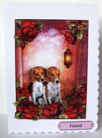 Red Rose Front by Margaret McCartney