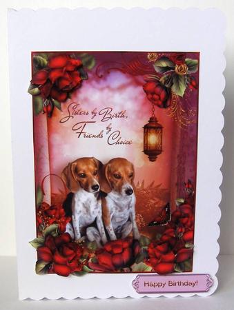 Sisters by Birth, Friends by Choice by Margaret McCartney