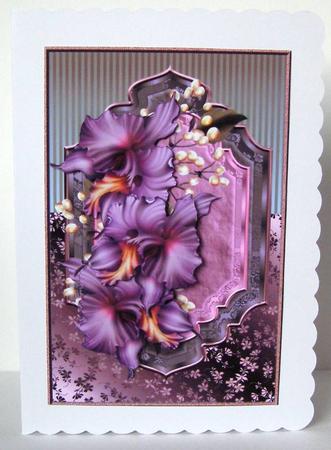 Classic Orchids by Margaret McCartney