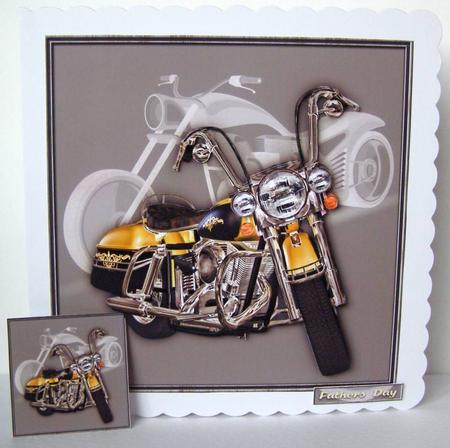Biker V.2 by Margaret McCartney