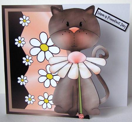 Purrect Day-sie Edgy by Margaret McCartney