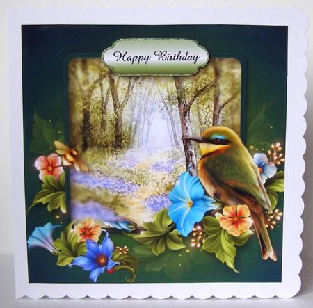 Beautiful Bird at the Bluebell Woods by Margaret McCartney