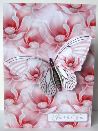 Magnolia Blossoms A4 Background by Margaret McCartney