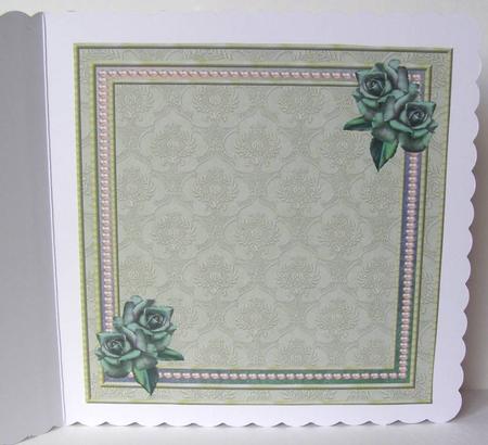 Special Girl Insert by Margaret McCartney