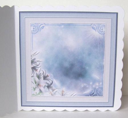Birds in Flight 5x5ins Inserts. by Margaret McCartney