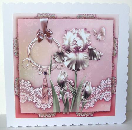 Soft White Iris Front Card by Margaret McCartney