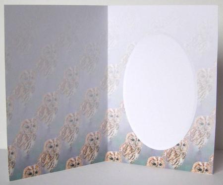 Tawny Owl Insert Sheet by Margaret McCartney