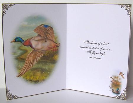 Take Flight Insert by Margaret McCartney