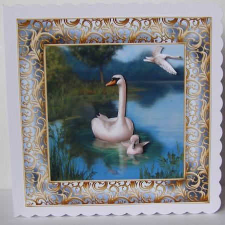 Swan and Cygnet 8x8 Card Front with Decoupage by Margaret McCartney