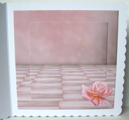 Insert Roses for You by Margaret McCartney