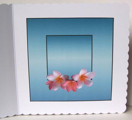 A Day to Relax Insert by Margaret McCartney