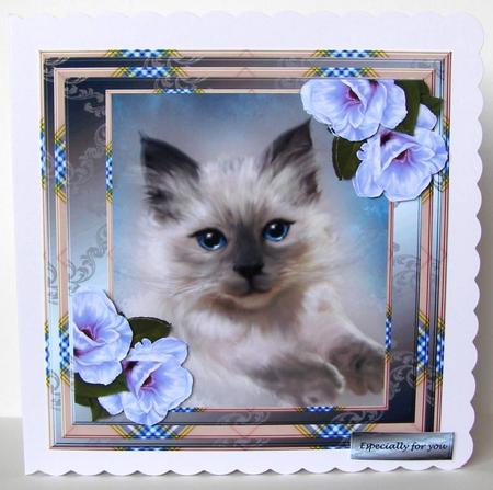Little Pete -  by Margaret McCartney
