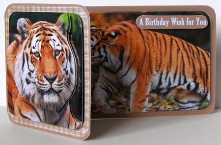 Siberian Tiger by Margaret McCartney