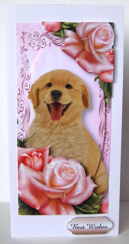 Cute Puppy & Pink Roses - Dl + Plaque + Decoupage by Margaret McCartney