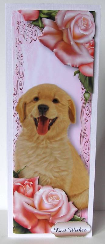 Large Dl Cute Puppy & Pink Roses by Margaret McCartney