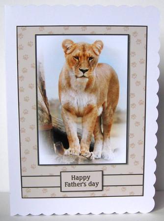 Big Cat by Margaret McCartney