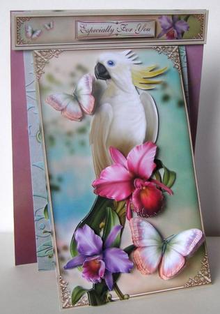 3 in 1 Feathered Friend by Margaret McCartney