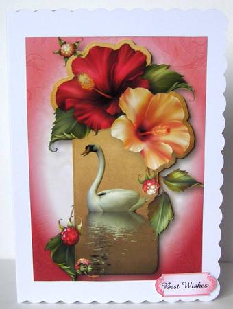 Hibiscus Flowers Swan Reflection by Margaret McCartney
