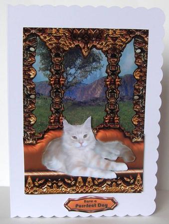 On My Window Seat - Pretty Cat by Margaret McCartney
