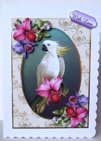 Tropical Elegance by Margaret McCartney