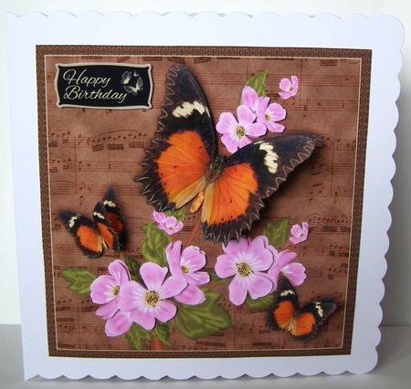 Lacewing Butterfly Mini Kit by Margaret McCartney