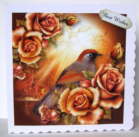 Beautiful Red Winged Thrush by Margaret McCartney