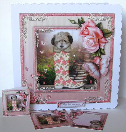 The Playful Puppy by Margaret McCartney