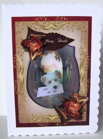 A Card Just for You by Margaret McCartney