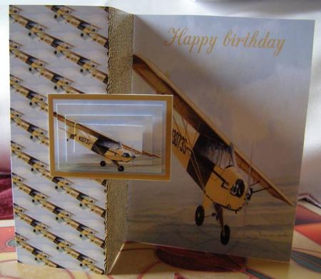 Piper Plane in Flight by Margaret McCartney