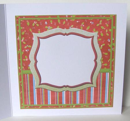 Robin Insert by Margaret McCartney