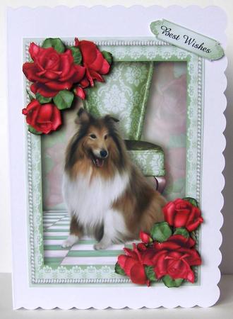 Beautiful Roses and Collie Dog by Margaret McCartney